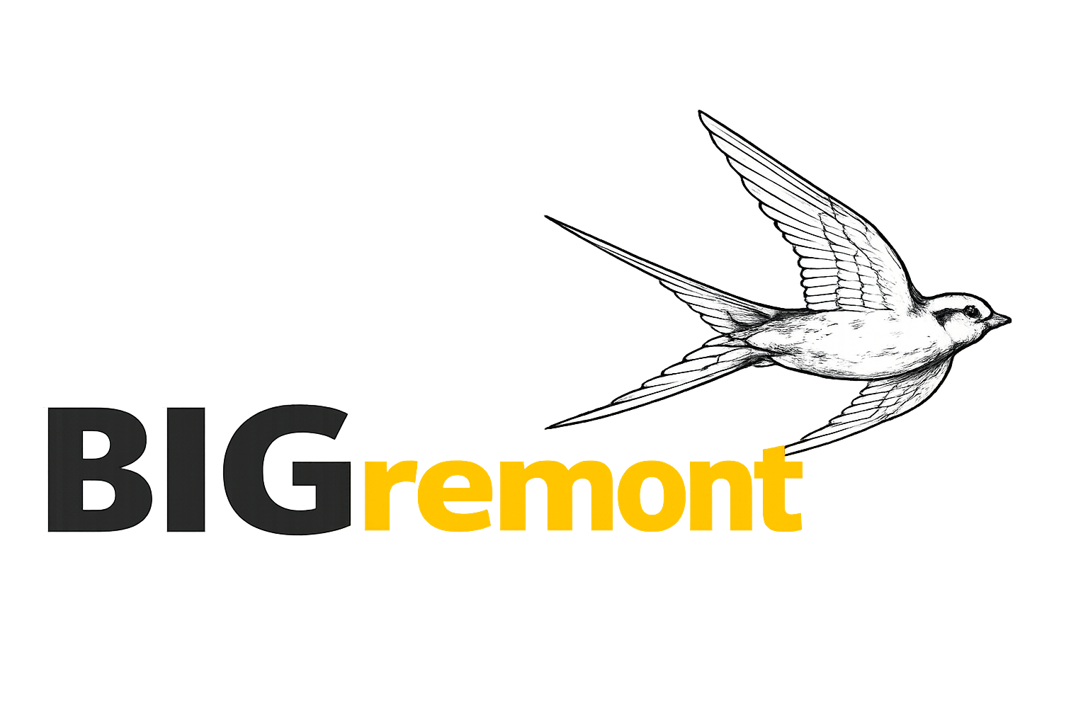 default-logo